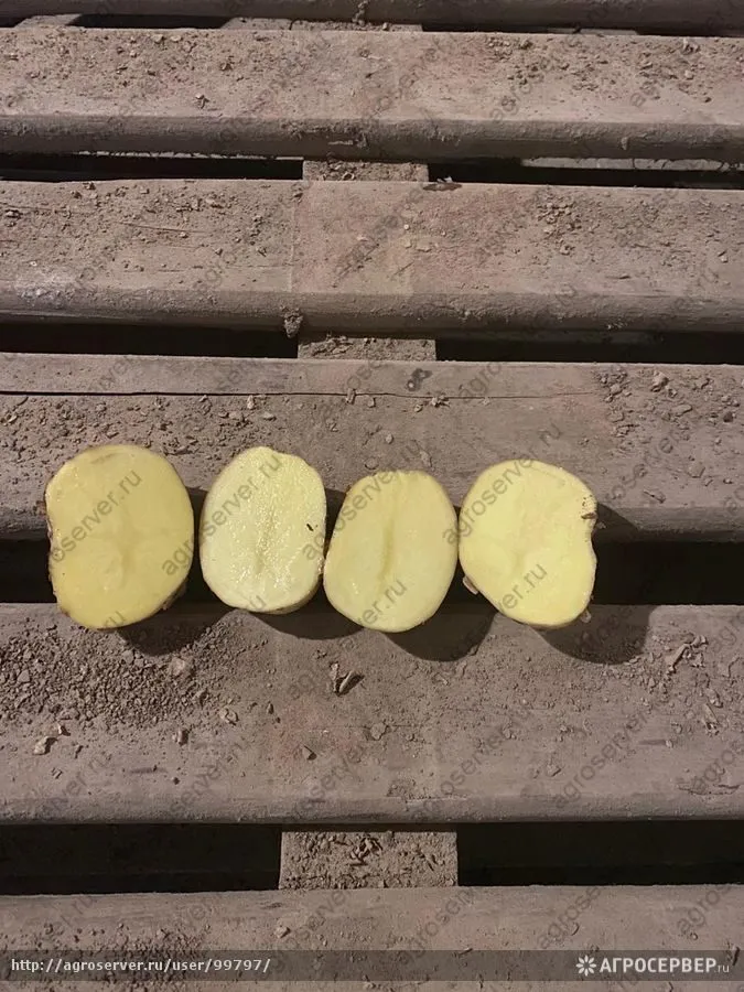 картофель от фермера... в Вологде